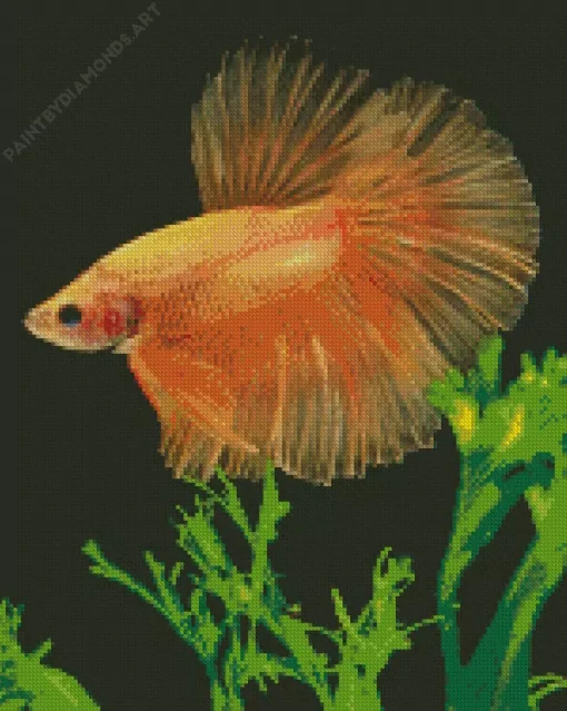 Yellow Betta Fish Diamond Painting