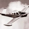 Black and White Bonanza Flying Diamond Painting