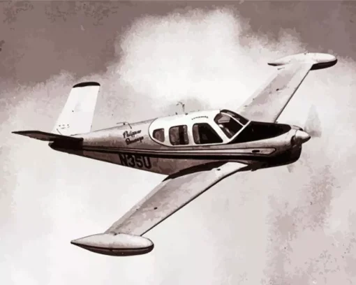 Black and White Bonanza Flying Diamond Painting