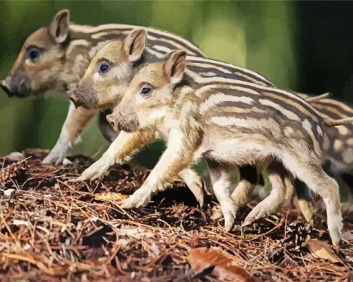 Boar Babies Diamond Painting