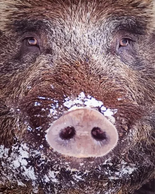 Boar Face Diamond Painting