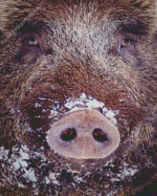 Boar Face Diamond Painting