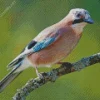 Eurasian Jay Bird On A Branch Diamond Painting