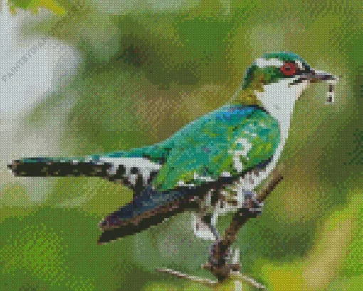 Aesthetic Diederik Cuckoo Bird Diamond Painting