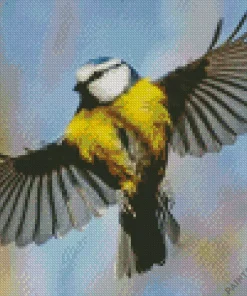 Bird Blue Tit Diamond Painting