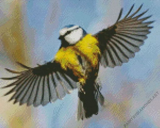 Bird Blue Tit Diamond Painting