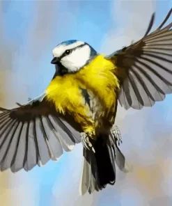 Bird Blue Tit Diamond Painting