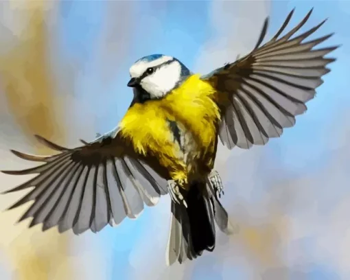 Bird Blue Tit Diamond Painting