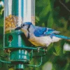 Bird Feeder Diamond Painting