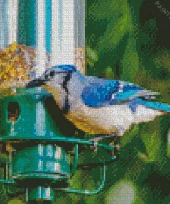 Bird Feeder Diamond Painting