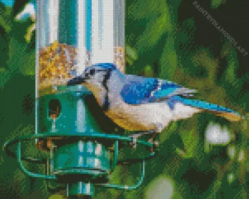 Bird Feeder Diamond Painting