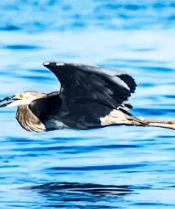 Bird Flying Over Ocean Diamond Painting