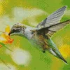 Bird On Flowers Diamond Painting