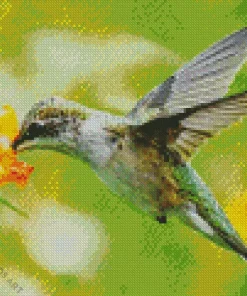 Bird On Flowers Diamond Painting