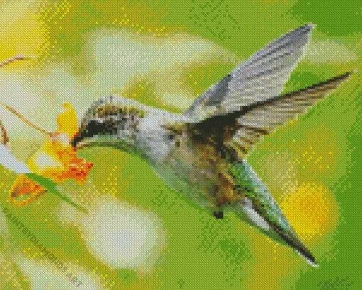 Bird On Flowers Diamond Painting