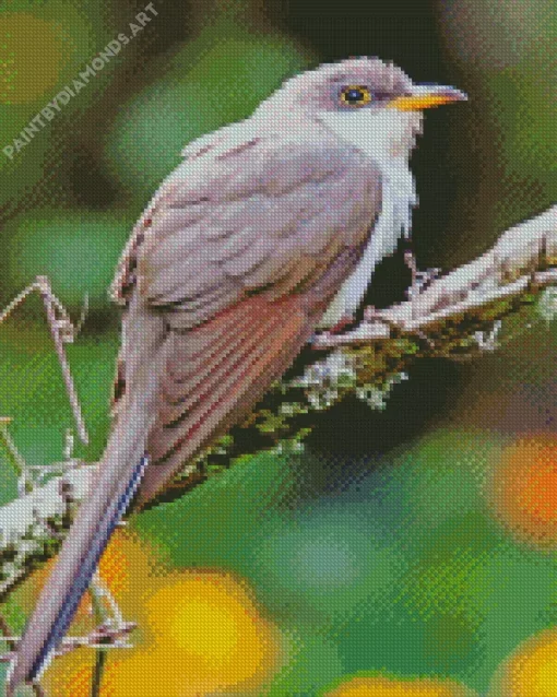 Black Billed Cuckoo Diamond Painting