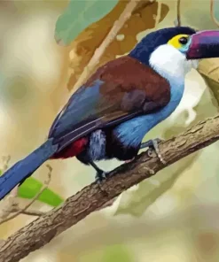 Black Billed Mountain Toucan Diamond Painting