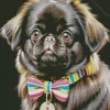 Black Pekingese Dog Diamond Painting