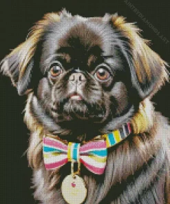 Black Pekingese Dog Diamond Painting