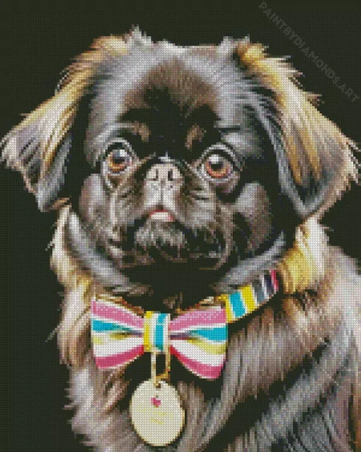 Black Pekingese Dog Diamond Painting