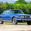 Blue Triumph Stag Diamond Painting