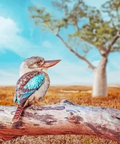 Blue Winged Kookaburra Diamond Painting