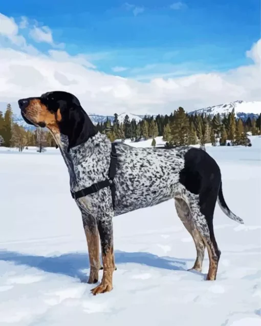 Bluetick Coonhound Diamond Painting