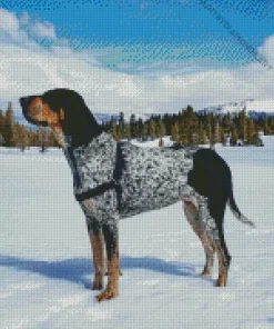 Bluetick Coonhound Diamond Painting