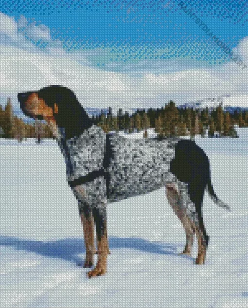 Bluetick Coonhound Diamond Painting