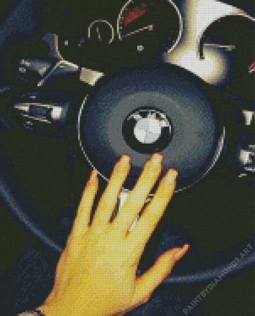 BMW Steering Wheel With Hand Diamond Painting