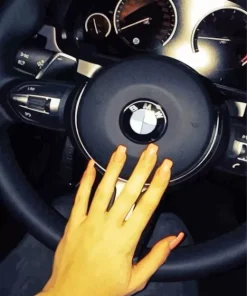 BMW Steering Wheel With Hand Diamond Painting