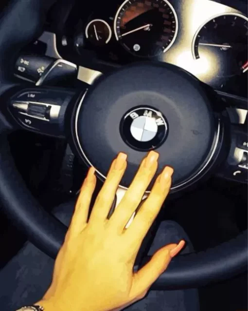 BMW Steering Wheel With Hand Diamond Painting