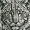 Bobcat Face Diamond Painting