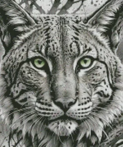 Bobcat Face Diamond Painting