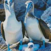 Booby Bird Family Diamond Painting