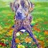 Brindle Pet Diamond Painting