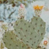 Cactus Heart Diamond Painting