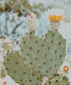 Cactus Heart Diamond Painting