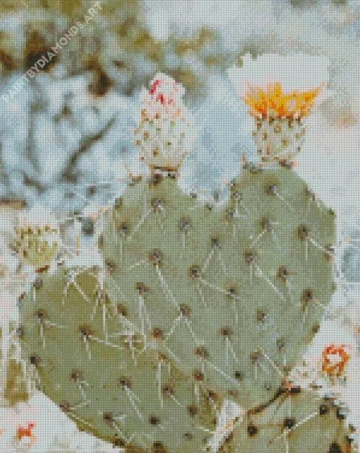 Cactus Heart Diamond Painting