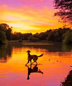 Dog At Sunset Diamond Painting