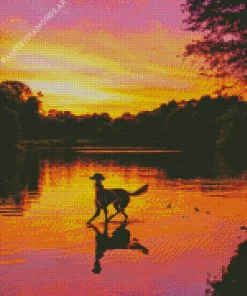 Dog At Sunset Diamond Painting