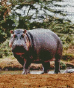 Gray Hippopotamus Diamond Painting