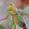 Grey And Yellow Bird Diamond Painting