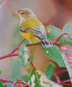 Grey And Yellow Bird Diamond Painting