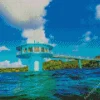 Guam Fish Eye Park Diamond Painting