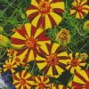 Harlequin Marigold Diamond Painting