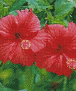 Hawaiian Flower Diamond Painting