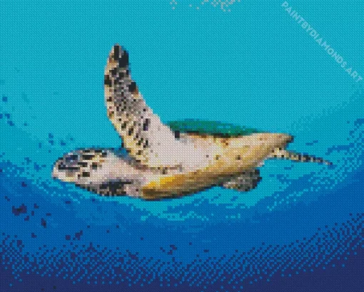 Hawksbill Sea Turtle Diamond Painting