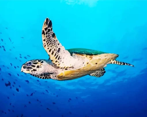 Hawksbill Sea Turtle Diamond Painting