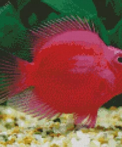 Heart Parrot Fish Diamond Painting